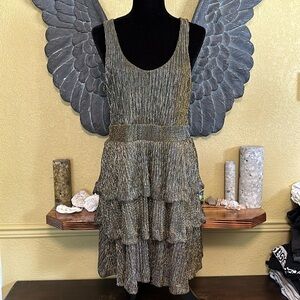 H&M Shiny Tri Layered Dress